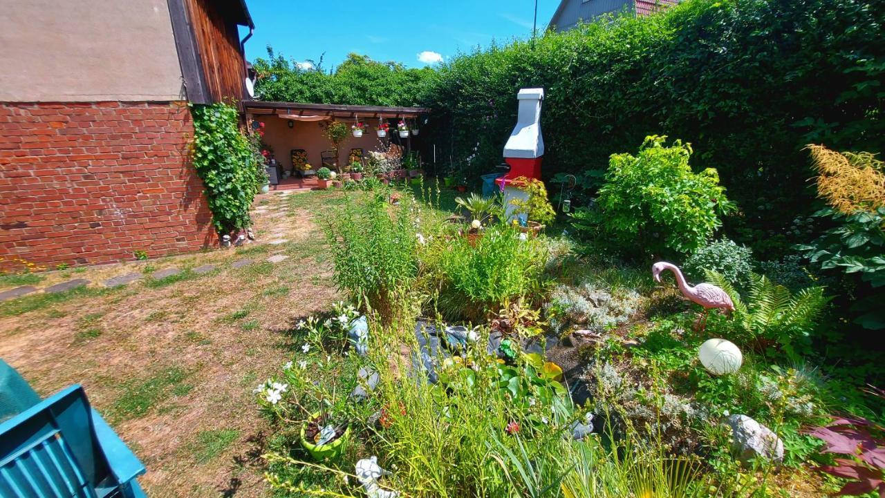 Rummy'S Ferienwohnung Mit Garten Wernigerode Exteriér fotografie